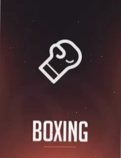 Rainbet Boxen Wetten